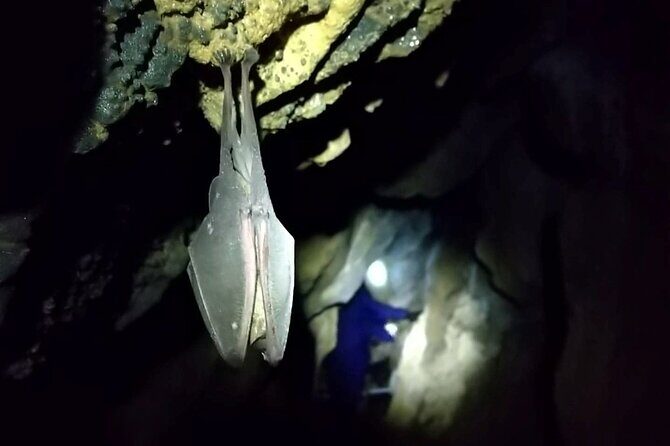 Private Ninja Training in a Cave in Hidaka - FAQ