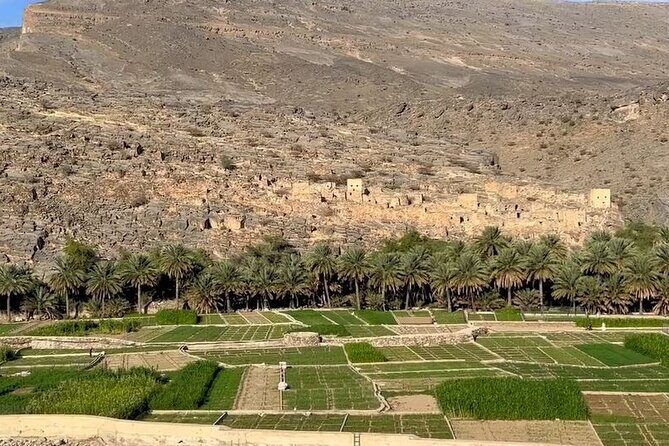 Private Nizwa - Al Hamra Old Village - Misfah Al Arbyeen - Full Day Tour - Who Should Consider This Tour?