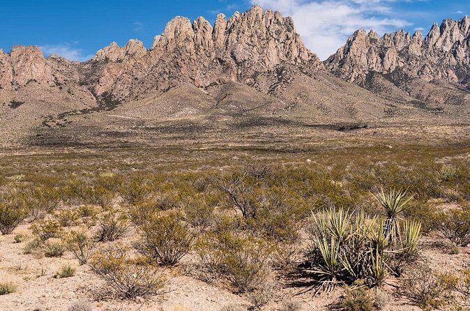Private NM Taxi Service- Statewide - Final thoughts: Is it worth it?