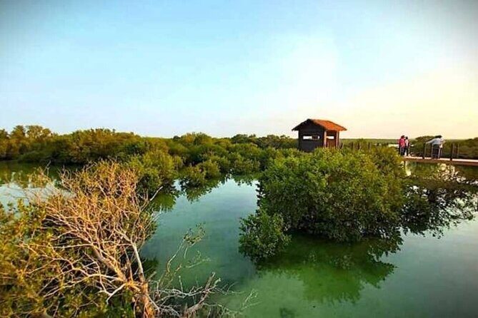 Private North of Qatar Tour - The Overall Experience: Balancing Highlights and Limitations
