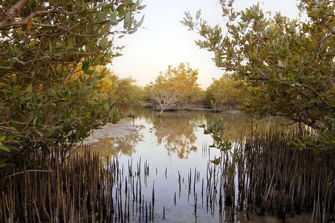 Private North of Qatar: Zubara Fort | Jumail Village | Al-Thakhira Mangroves - The Sum Up: Who Is This Tour For?