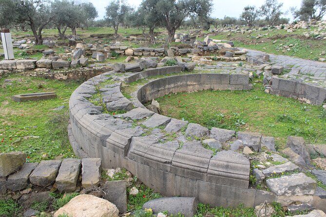 Private North Tour to Jerash, Ajloun, and Umm Qais from Amman - Who Would Love This Tour?