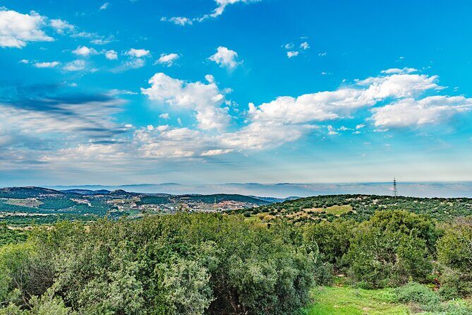 Private North Tour to Jerash, Ajloun, and Umm Qais from Amman - FAQs