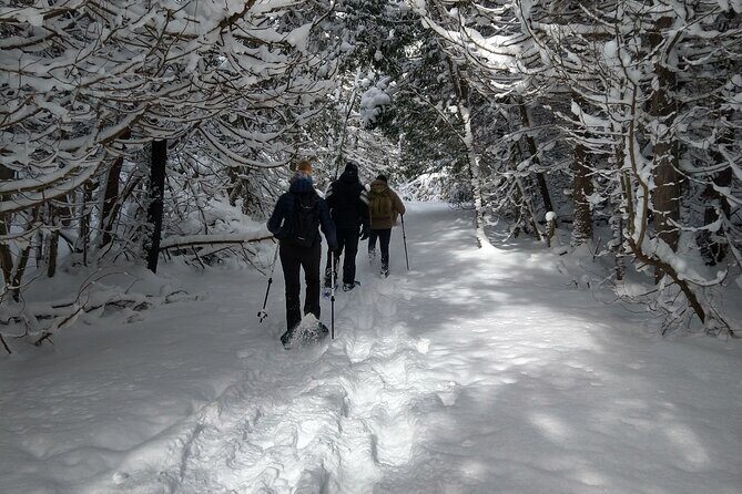 Private Nottawasaga Bluffs Caves Snowshoe, Collingwood/Creemore - Final Words