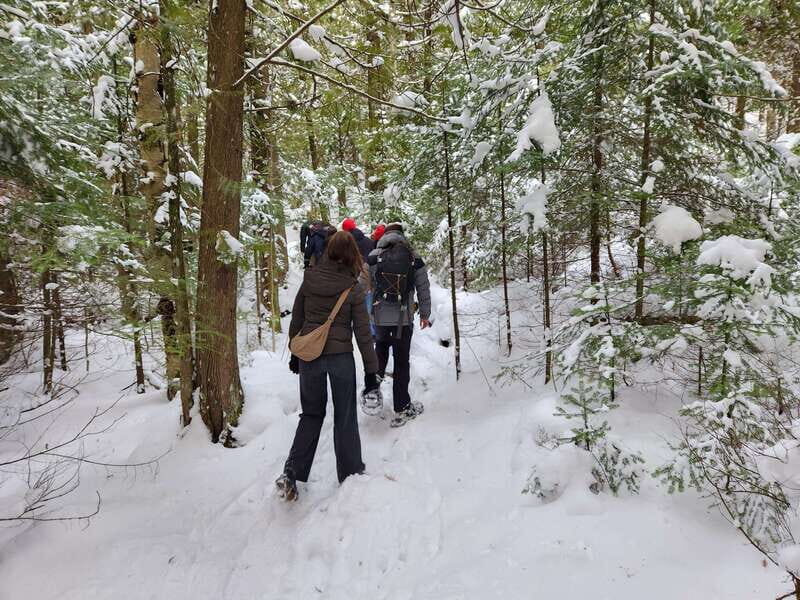 Private Nottawasaga Bluffs Caves Snowshoe-Creemore/Collingwd - Value and Pricing
