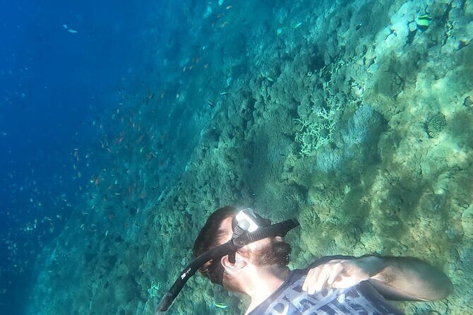 Private Nusa Penida Snorkeling Tour - Who Will Love This Tour?
