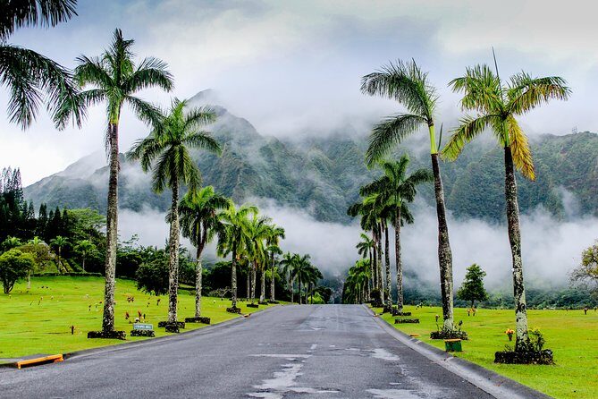 Private Oahu Circle Island Tour - Who Will Love This Tour?