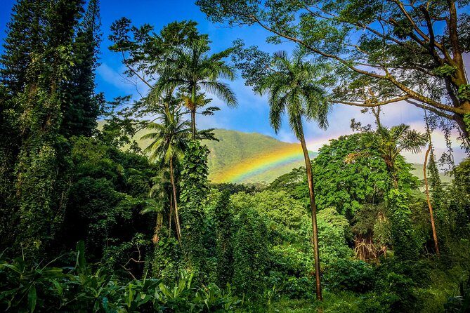 Private Oahu Van Tour - A Detailed Look at the Private Oahu Van Tour