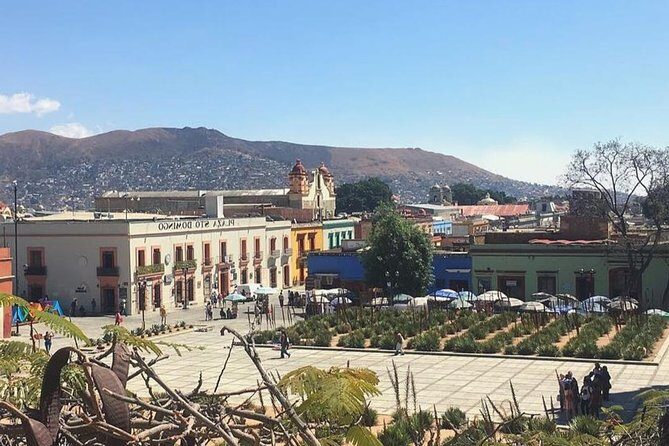 Private Oaxaca Walking Tour with Mezcal Tasting - How the Tour Works and What to Expect