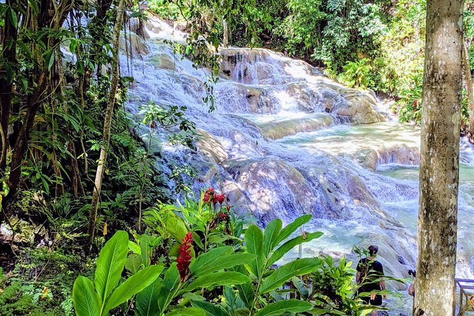 Private Ocho Rios highlight tour - Exploring the Private Ocho Rios Highlight Tour: A Practical & Authentic Look