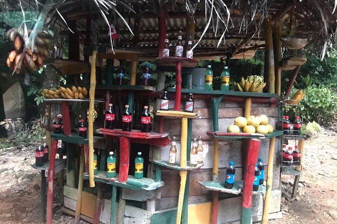 Private Ocho Rios Highlights Tour with Pickup - Authentic Experiences and Genuine Insights