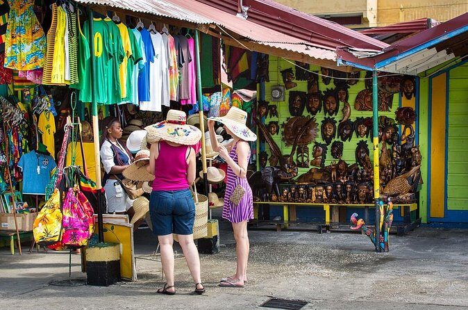 Private Ocho Rios Highlights Tour with Pickup - Who Should Consider This Tour?