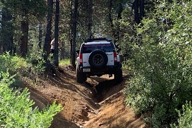 Private Off Road Adventure Tours in the Prescott National Forest - The Sum Up