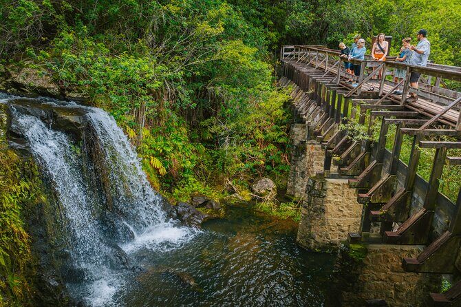 Private Ohana Kohala Waterfalls Adventure - Authentic Reviews and Real Experiences