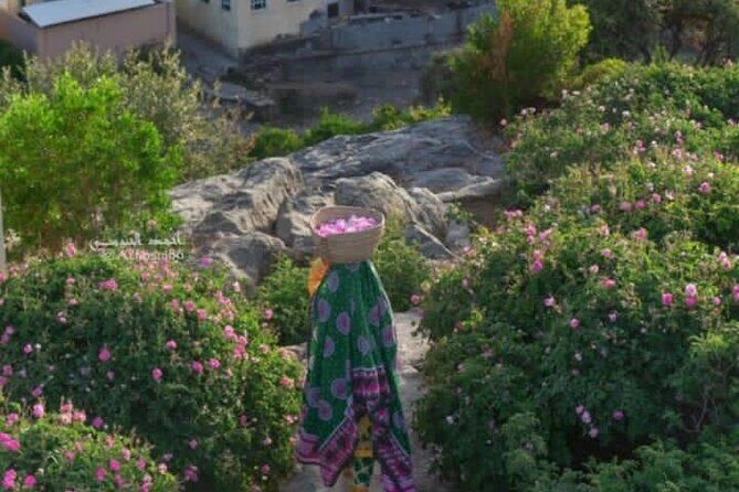 Private Oman Full Day Guided Sightseeing Tour - Who Should Consider This Tour?