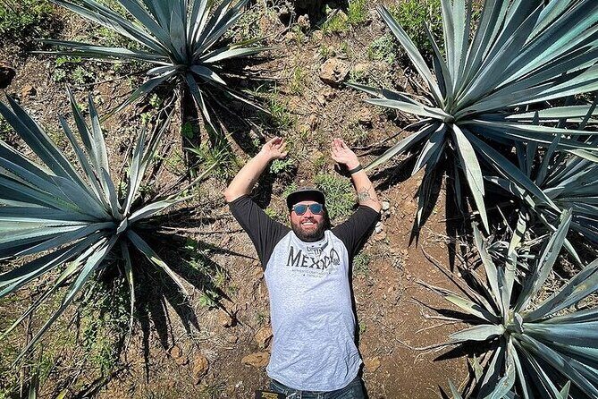 Private One Day Adventure Tour in Tequila and La Fortaleza Distillery - Breaking Down the Itinerary