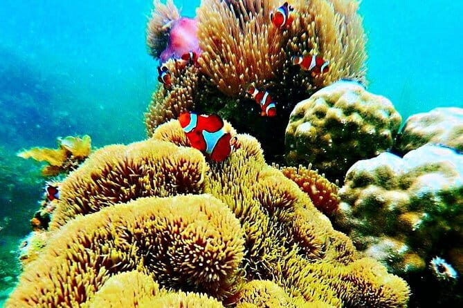 Private One Day Bintan Island Tour - Who Will Love This Tour?