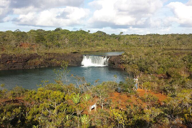 Private One Day Tour through The Deep South - Introduction to the Tour Experience