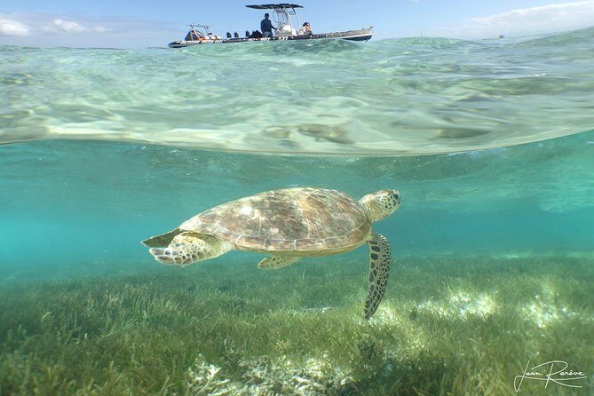 Private One Day Tour through The Deep South - Who Will Love This Tour?