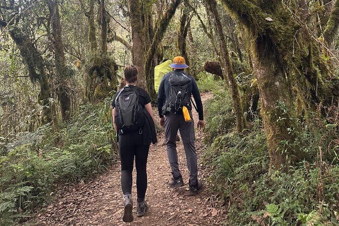 Private One-Day Trek to Mount Kilimanjaro - Key Points