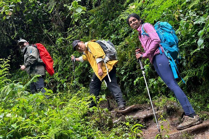 Private One-Day Trek to Mount Kilimanjaro - A Deep Dive into the Experience