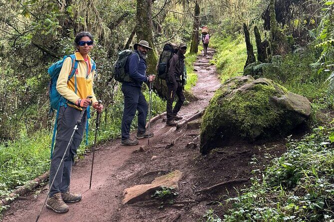 Private One-Day Trek to Mount Kilimanjaro - Final Thoughts