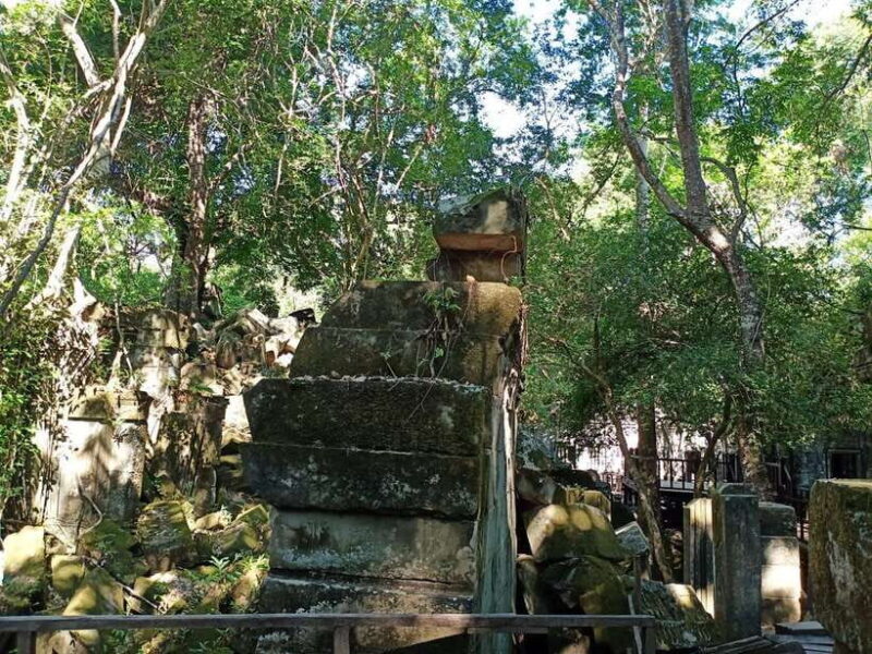Private One Day Trip-Pyramid Temple Koh Ker and Beng Mealea - The Practical Side: Transportation, Fees, and Comfort