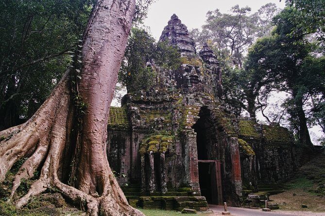 Private One Day Trip-The Best Experience in Siem Reap - An In-Depth Look at the Tour Experience