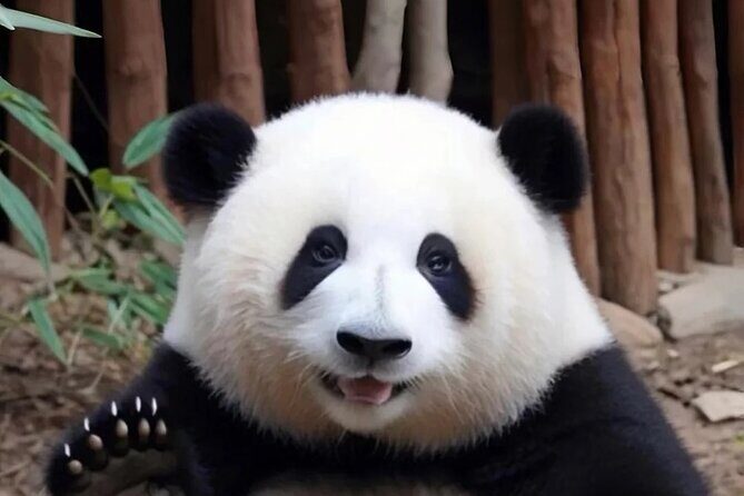 Private One Day Trip to Experience Chengdu Local Life - Key Points
