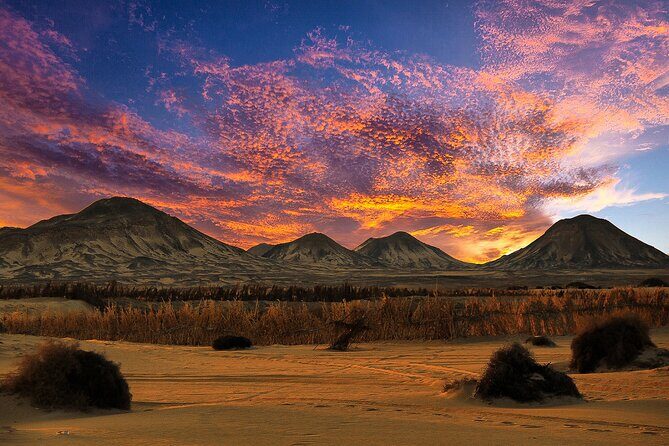 Private ONE Night Camping in White and Black Desert from Cairo - The Sum Up
