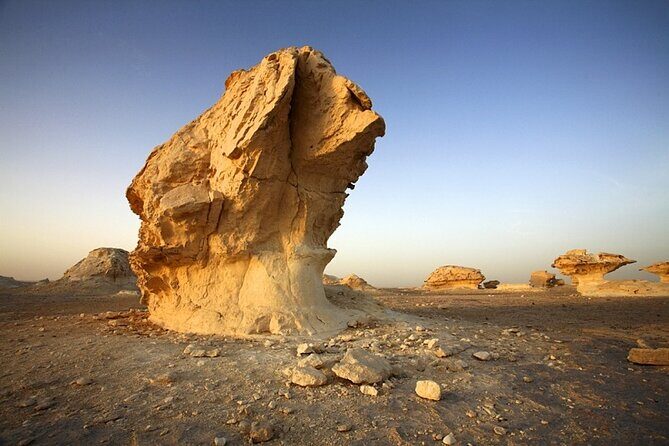 Private ONE Night Camping in White and Black Desert from Cairo - FAQs