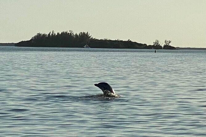 Private ONLY Dolphin Boat Tours - FAQ