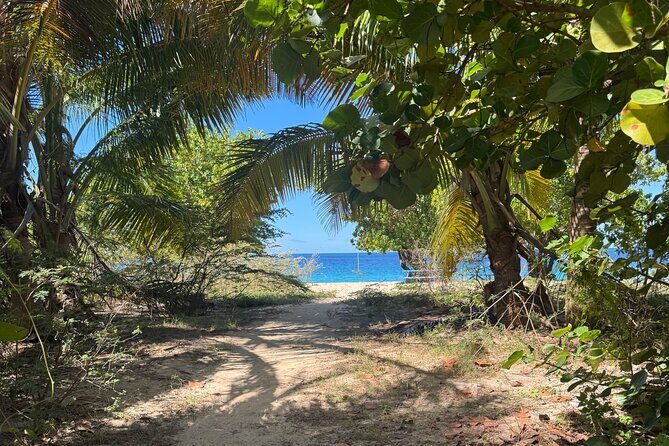 Private Open-Air Jeep Adventure with Tropic Sun Hidden Beaches - Key Points