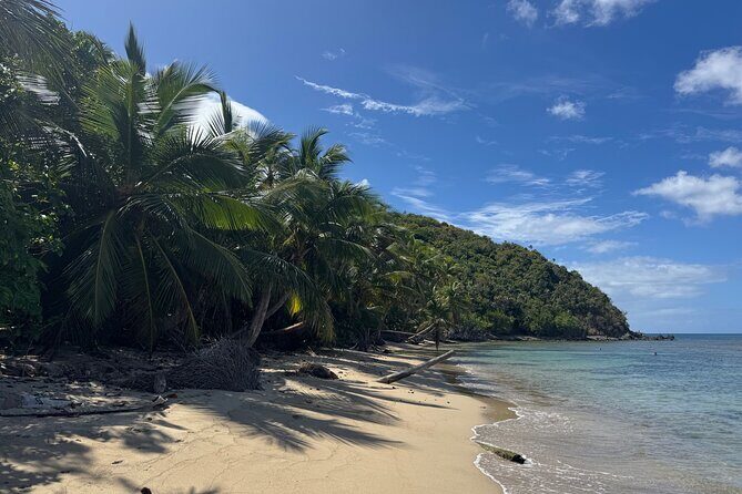 Private Open-Air Jeep Adventure with Tropic Sun Hidden Beaches - The Value: What’s Included