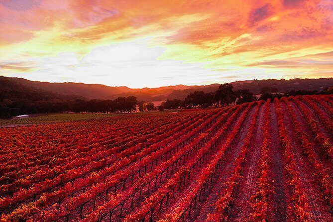Private or Semi-Private Wine Tasting Tour from Paso Robles - FAQs