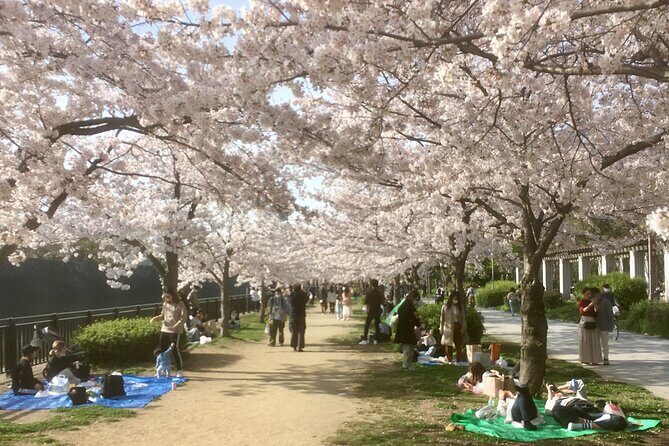 Private Osaka Tour with Hotel Meet Up - Key Points