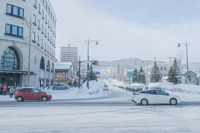 Private Otaru Shore Excursion - Why This Tour Offers Good Value
