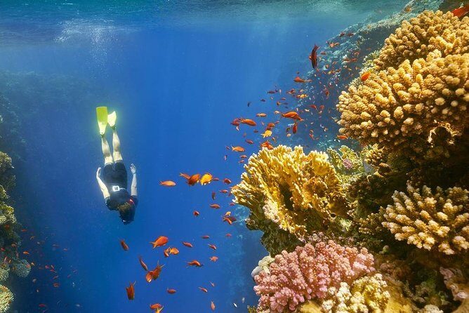 private over day tour From Luxor to Hurghada - Introduction