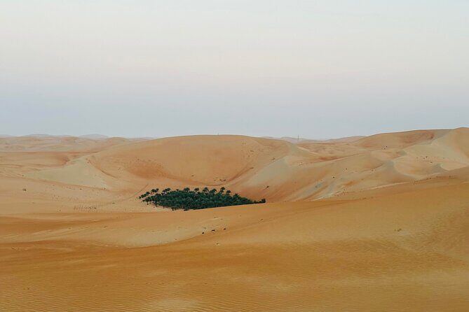 Private Overnight Camping in Liwa with BBQ Dinner & Breakfast - Wrapping It Up