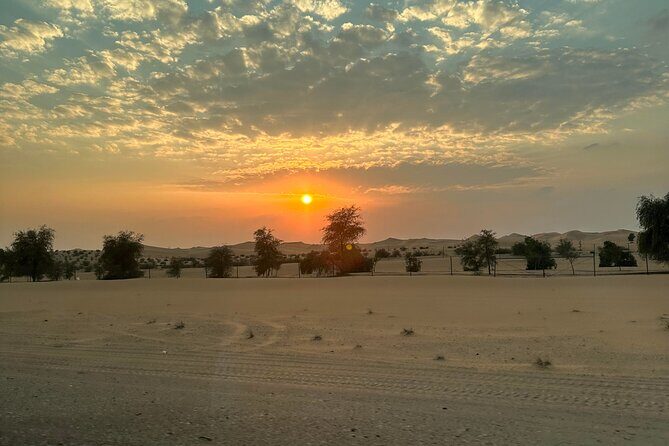 Private Overnight Camping in Liwa with BBQ Dinner & Breakfast - Final Thoughts