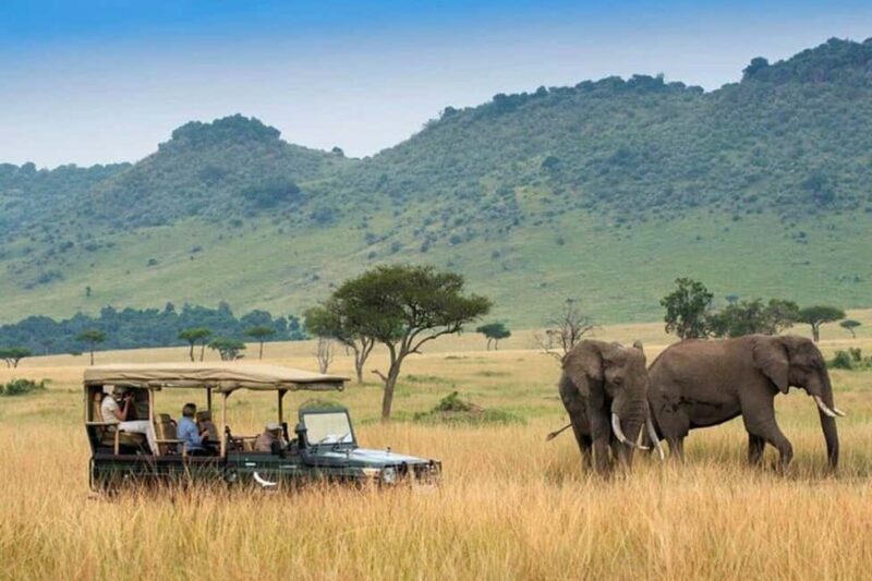 Private Overnight Maasai Mara Safari Tour from Nairobi - Key Points