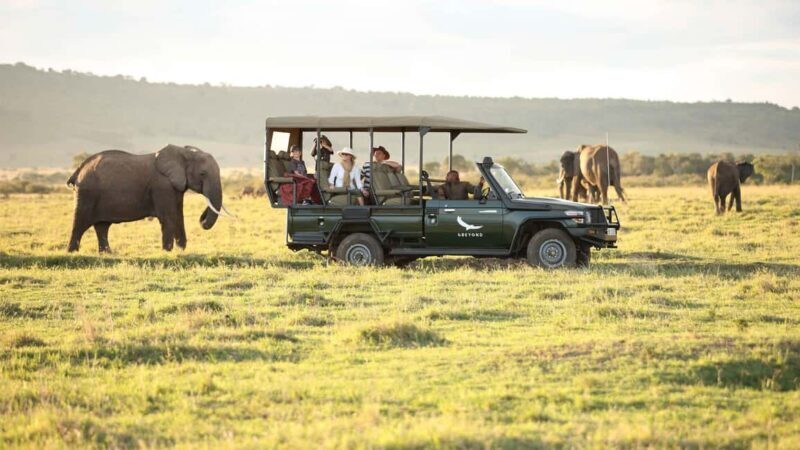 Private Overnight Maasai Mara Safari Tour from Nairobi - An In-Depth Look at the Maasai Mara Safari Experience