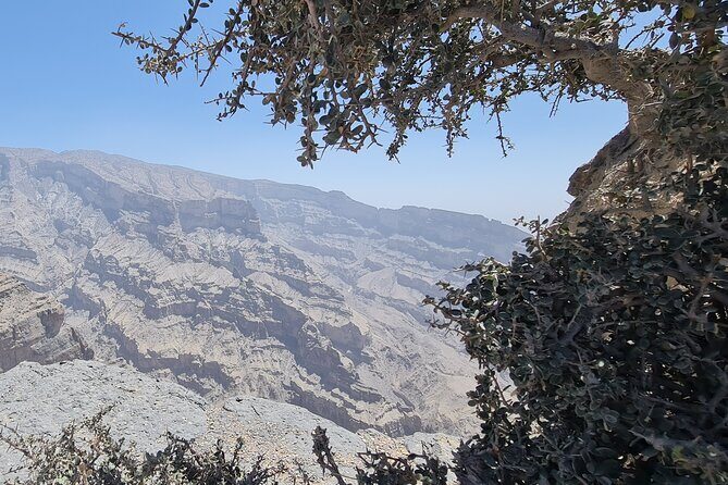 Private Overnight Nizwa & Jebel Akhdar Tour from Muscat - The Sum Up