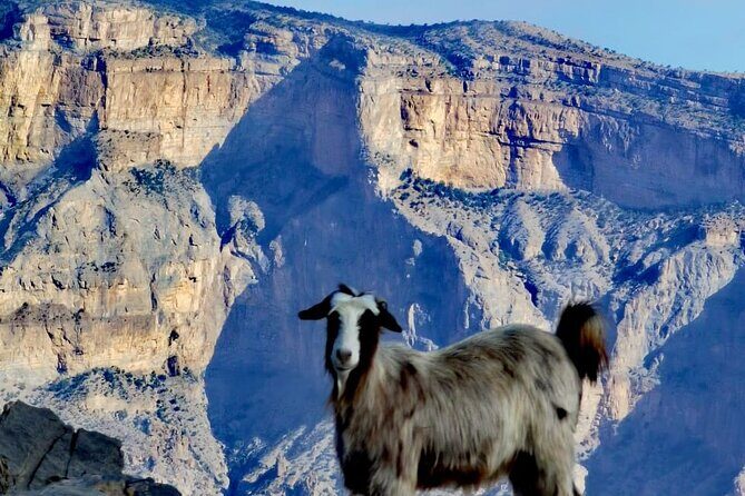 Private Overnight Nizwa & Jebel Akhdar Tour from Muscat - FAQ
