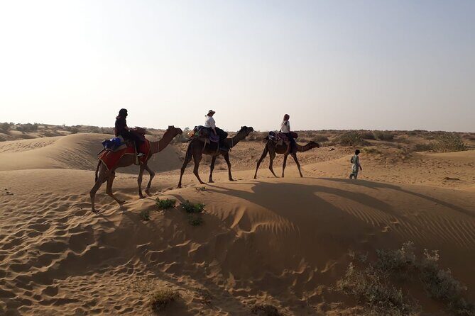Private Overnight Safari Tour with Camel Ride - Discovering the Magic of a Private Overnight Safari with Camel Ride in Jaisalmer