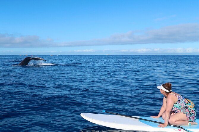Private Paddleboard (SUP) Whale Watch: All Skill Levels Welcome - What Do the Reviews Say?