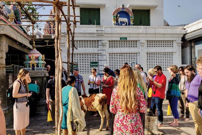 Private Peacock Trail Walking Tour in Mylapore - A Journey Through Mylapore’s Spiritual and Cultural Landmarks