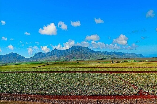 Private Pearl Harbor and Mini Circle Island Tour from Waikiki - Key Points