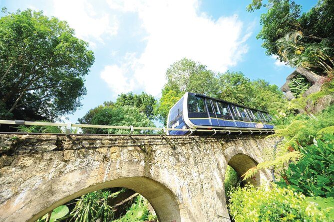Private Penang Hill and Temple - Authentic Experiences & Review Insights