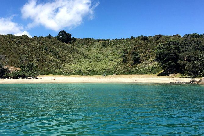 Private Personalised Tour in Waiheke Island - Who Should Consider This Tour?